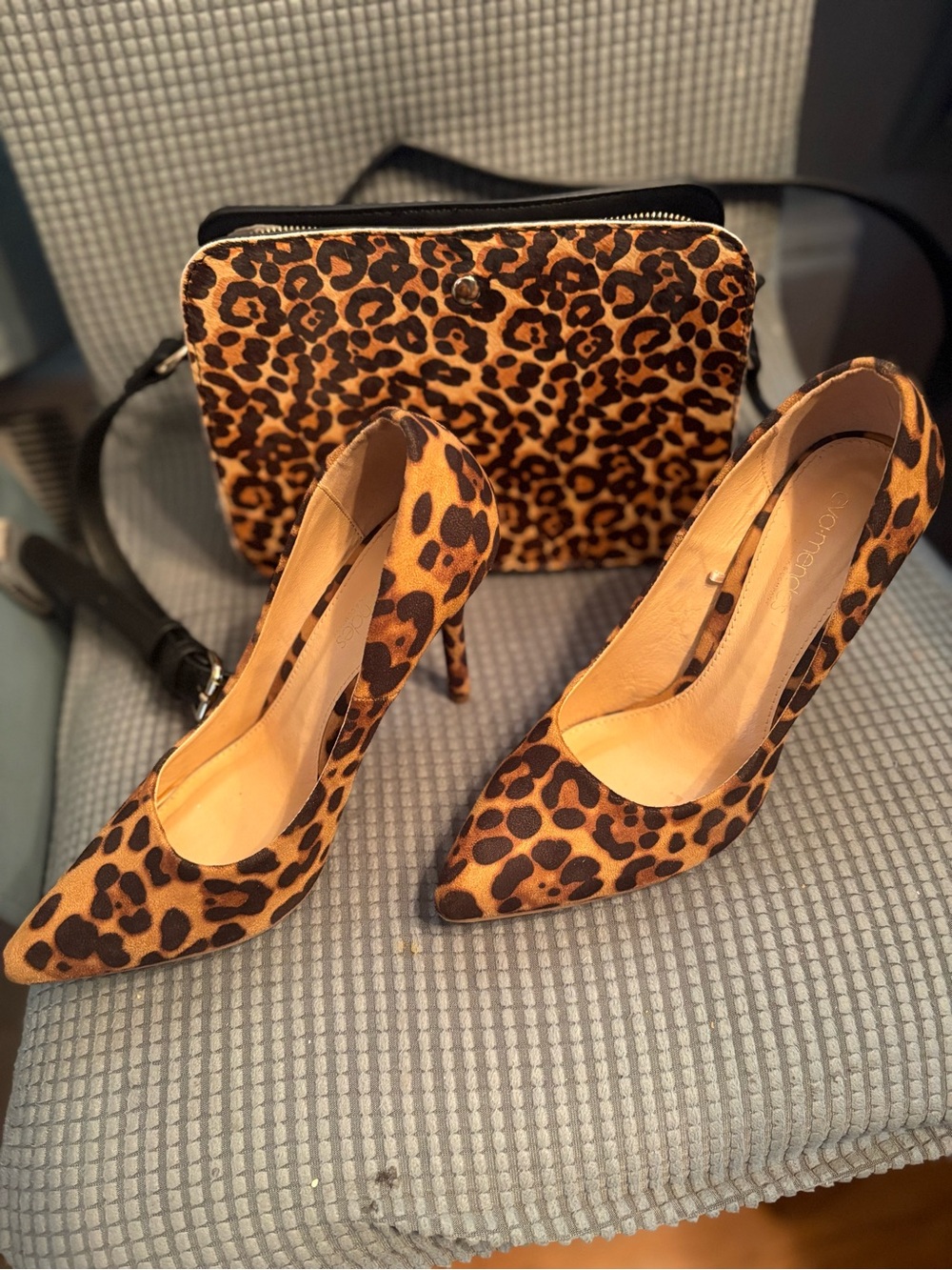 Leopard Print Bag & Pointed Toe Stilettos - Black & Brown